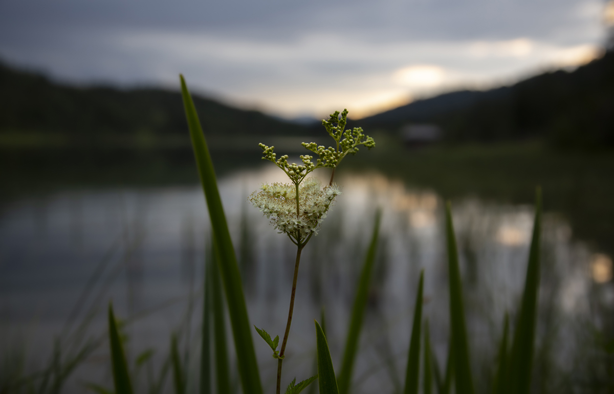 1-109-1271-abend-bluete-fluss-wechselbilderrahmen-zeitgenoessische-fotografie_l