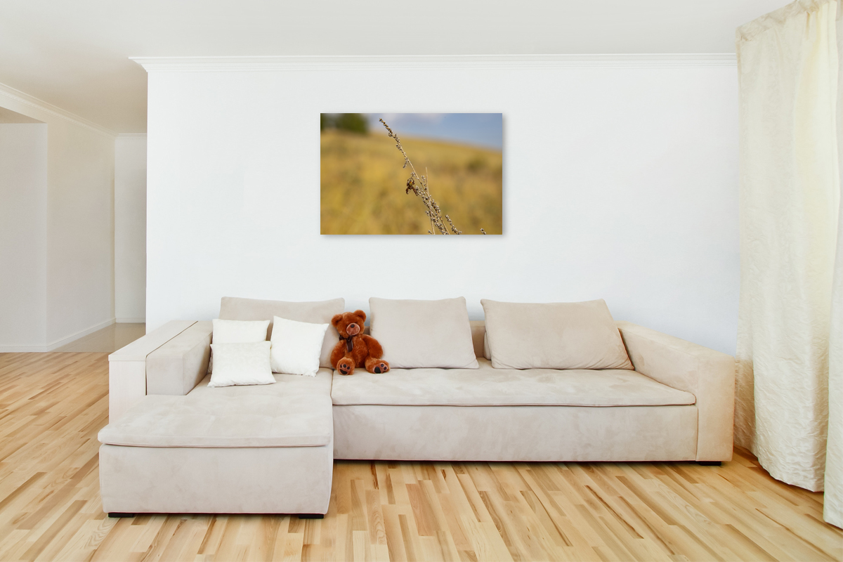 2-109-1390-wohnzimmer-spinne-gras-trocken-kunst-bilder-kaufen-kunstdrucke_l