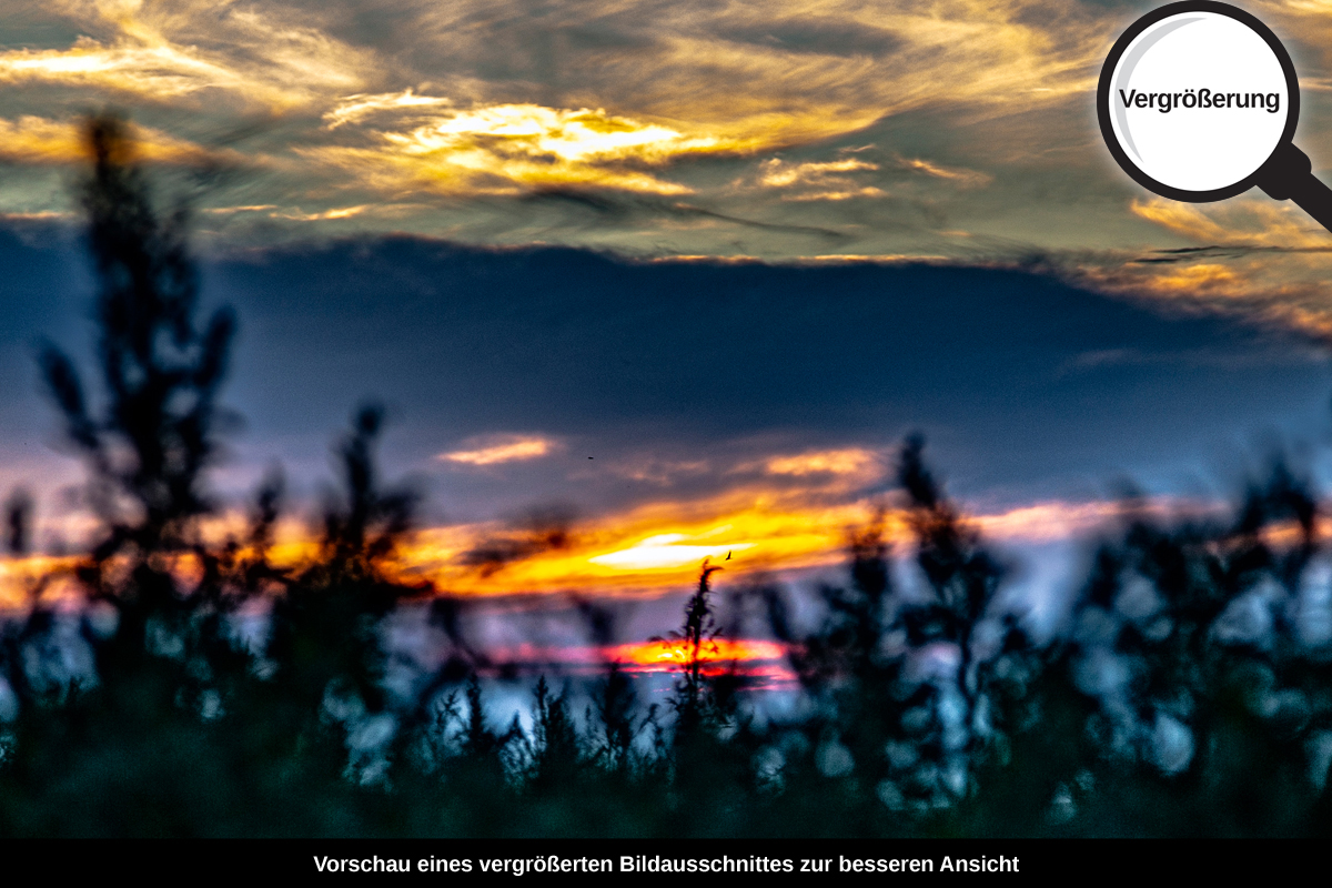 3-112-1429-bild-gross-sonnenuntergang-feld-gras_l