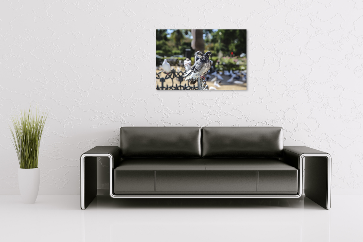 2-114-1205-wohnzimmer-vogel-taube-park-sommer-zufriedene-kunden-unikat_l