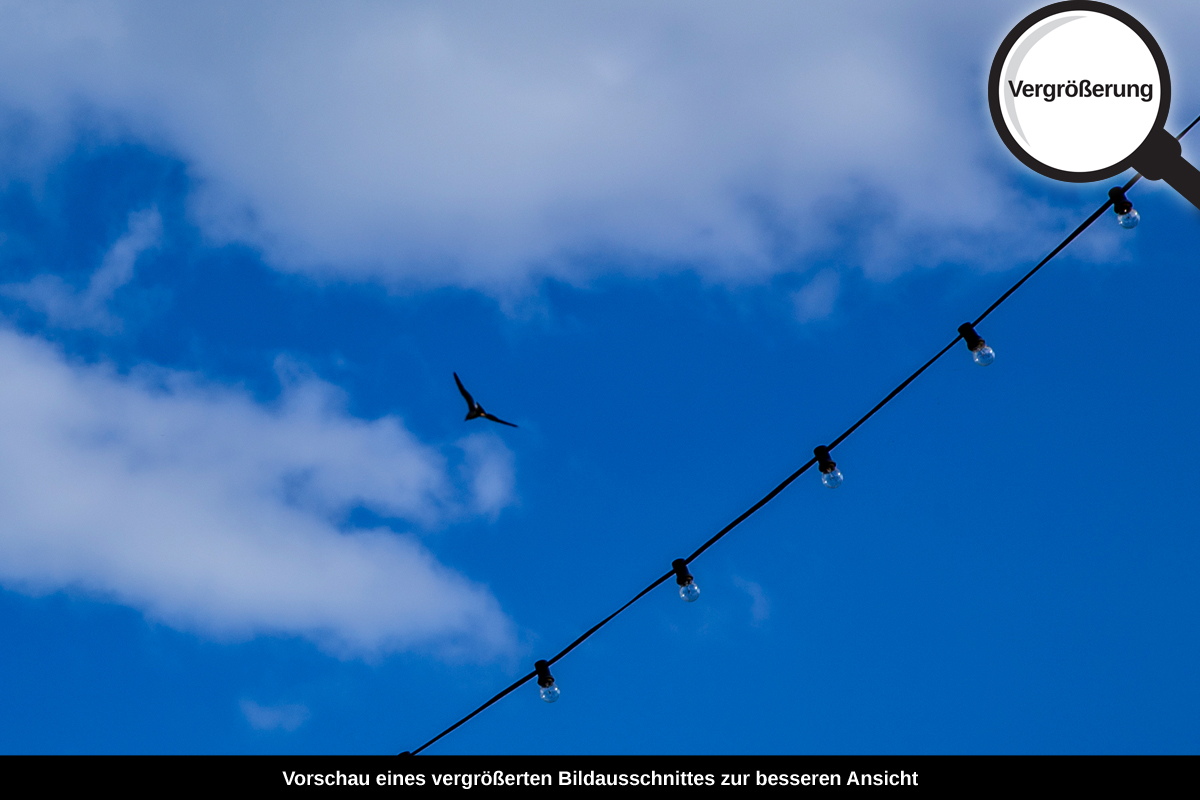 3-116-1306-bild-gross-lichterkette-himmel-wolke-blau_l