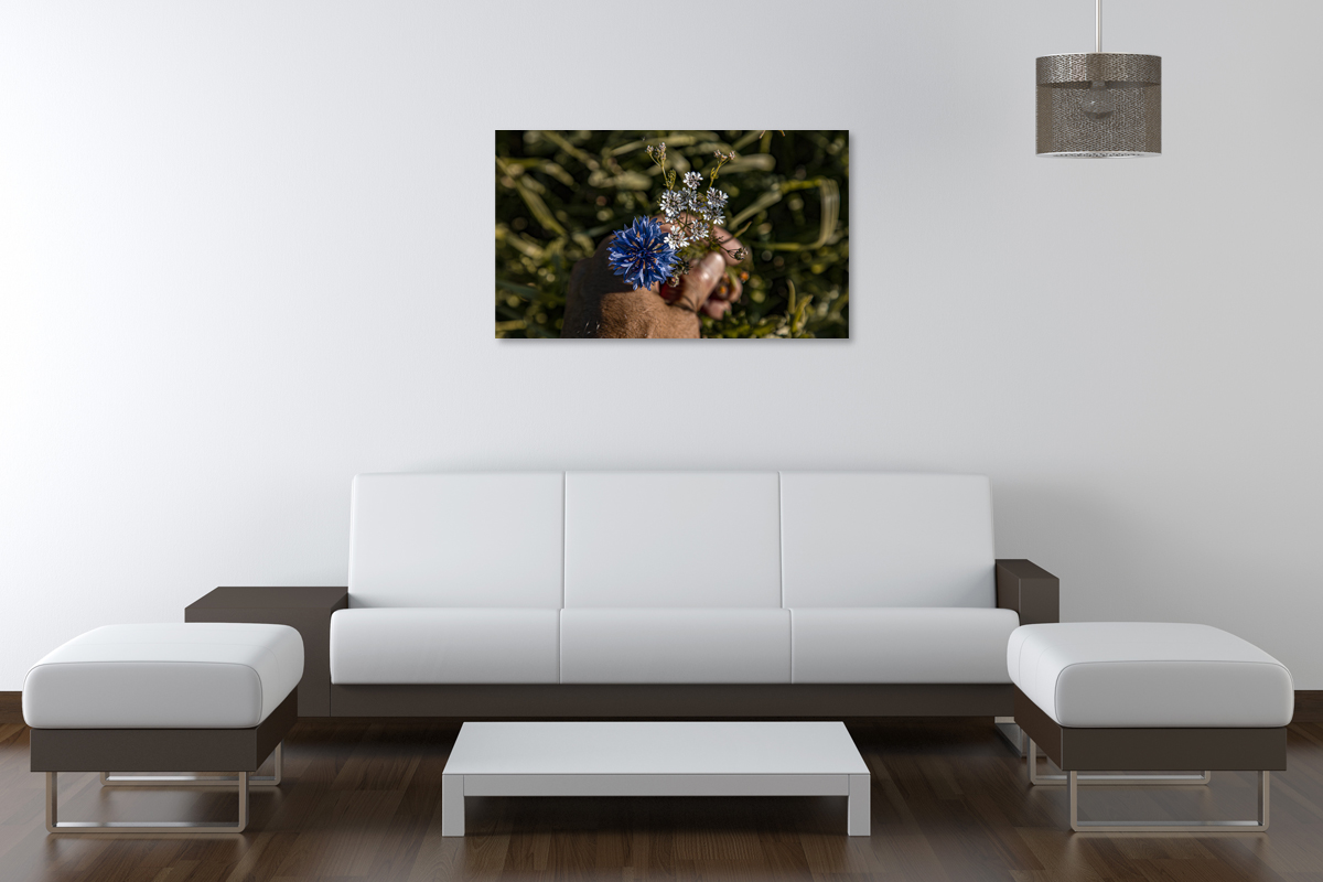 2-117-1216-wohnzimmer-feldblumen-hand-sommer-galerie-qualitaet-bilder_l