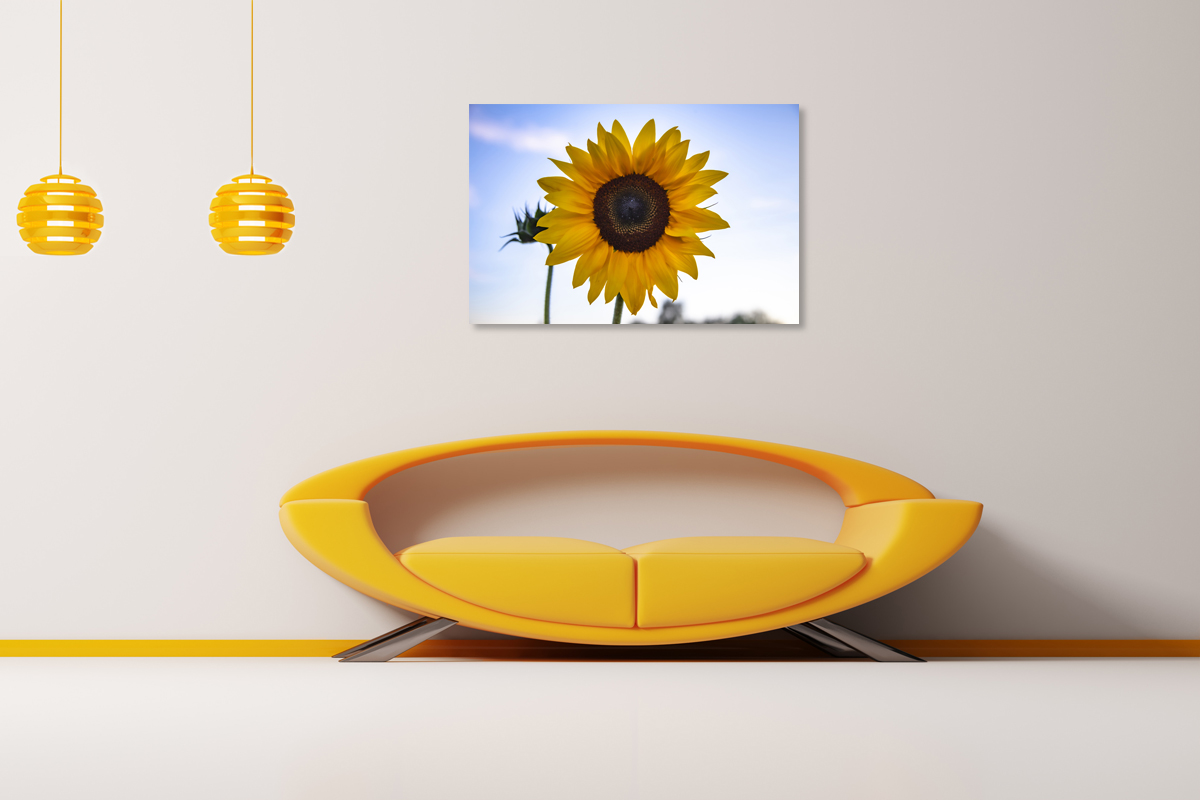 2-117-1291-wohnzimmer-sonne-blume-gelb-freude-coole-bilder-aktion_l