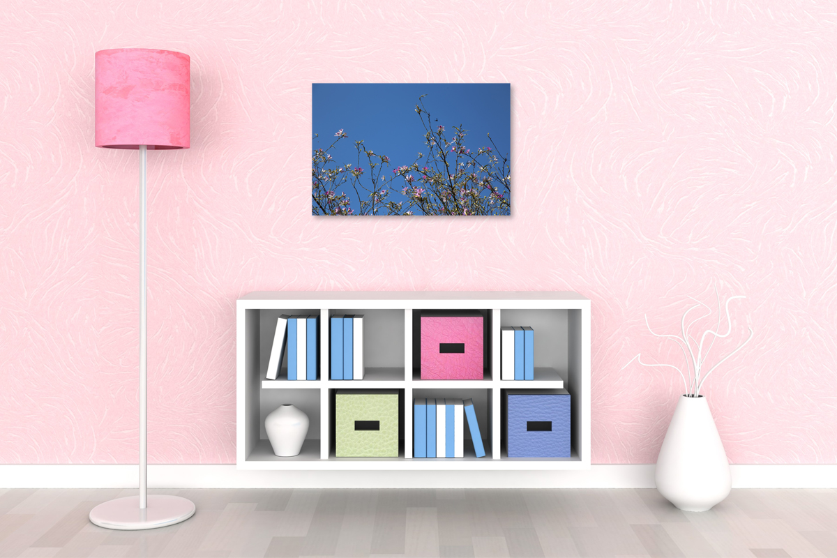 2-104-1584-wohnzimmer-himmel-fruehling-blumen-jeglichen-rahmen-kuechenrueckwaende_l