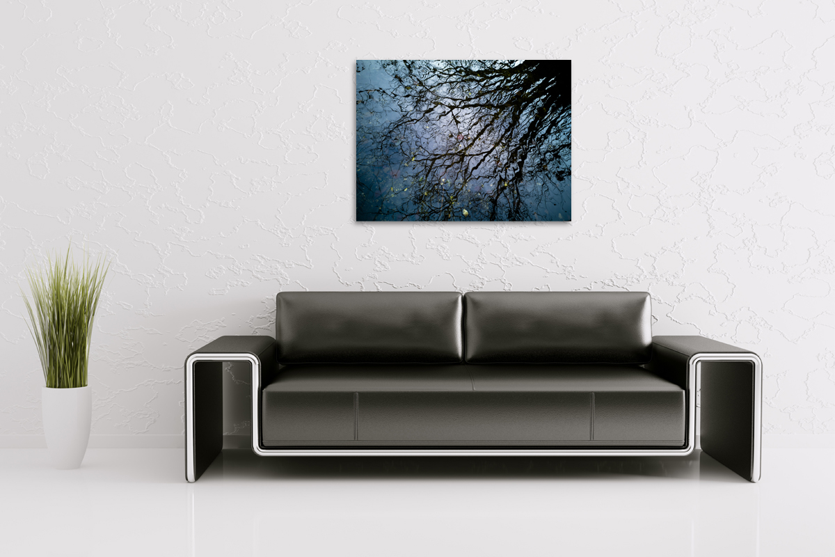 2-104-1652-wohnzimmer-baum-verspiegelung-im-wasser-natur-kunst-bilder-kunstdruck_l