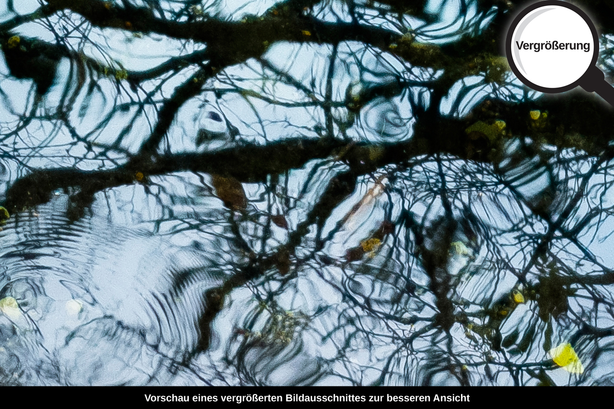 3-104-1652-bild-gross-baum-verspiegelung-im-wasser-natur_l