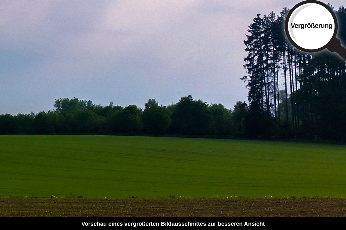 3-105-1642-bild-gross-acker-feld-wolken_l