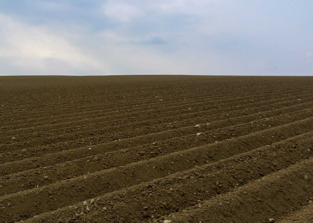 1-105-1644-acker-feld-himmel-zeitgenoessischer-fotografie-acrylglasbild_l