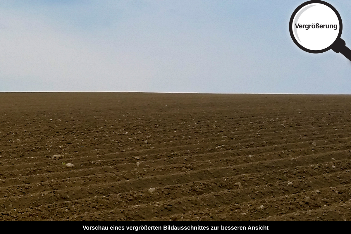 3-105-1644-bild-gross-acker-feld-himmel_l