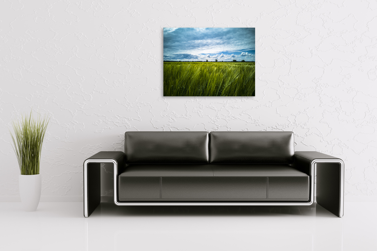 2-108-1658-wohnzimmer-feld-aehre-wolken-acrylglasbild-artland_l