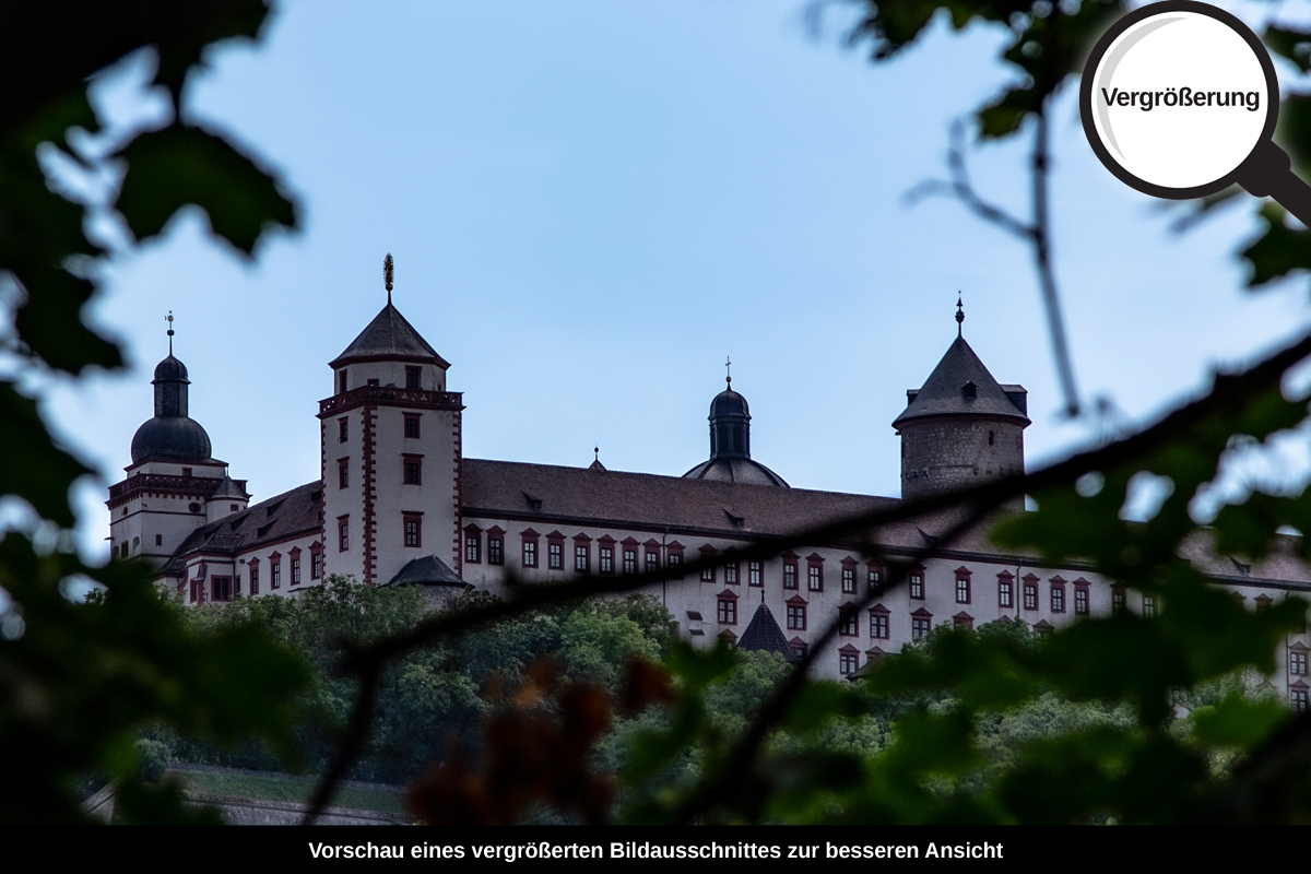 3-113-1154-bild-gross-laub-sommer-gebaeude-stadt_l