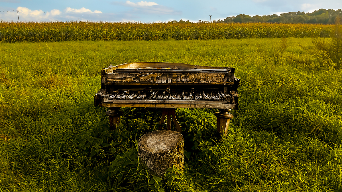 1-109-1662-feld-piano-sommer-kunstdruck-limitiert_l