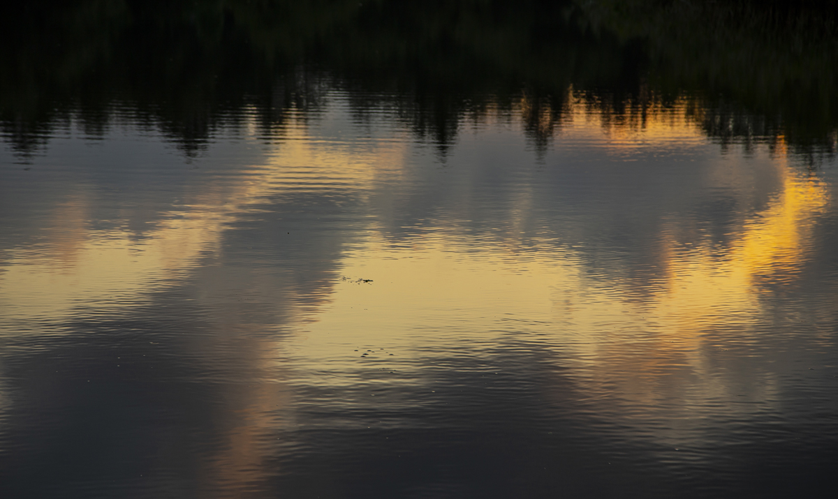 1-115-1564-wasserspiegelung-abend-baum-muenchen-bilder-kunst-bilder-kaufen_l