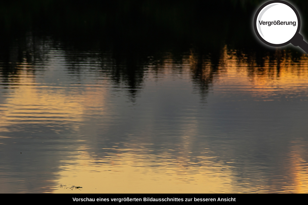 3-115-1564-bild-gross-wasserspiegelung-abend-baum_l