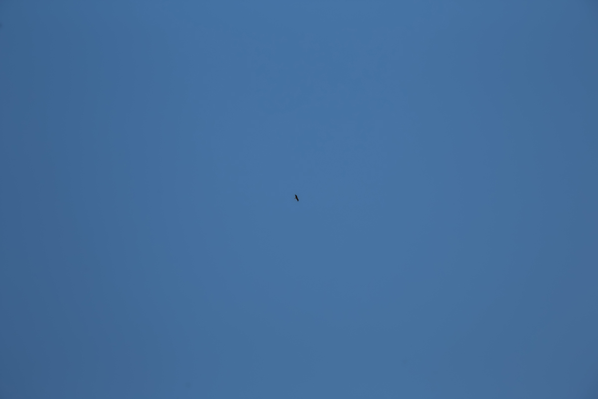 1-116-1535-himmel-blau-wolkenlos-jeglichen-rahmen-galerie-qualitaet_l