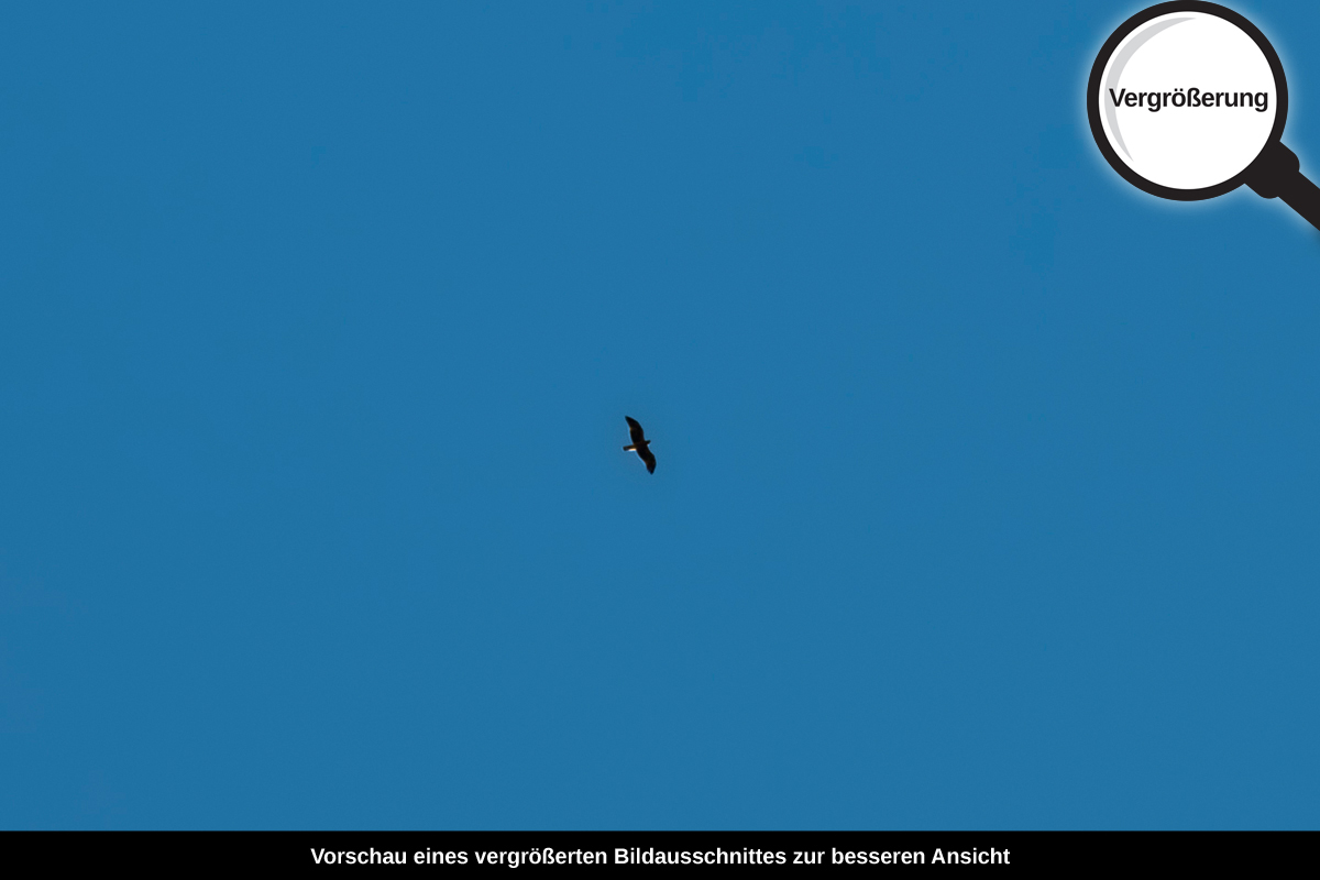 3-116-1535-bild-gross-himmel-blau-wolkenlos_l