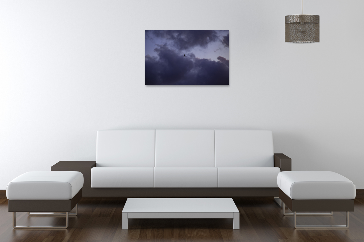 2-116-1571-wohnzimmer-grau-wolken-vogel-himmel-holzbilder-galerie_l