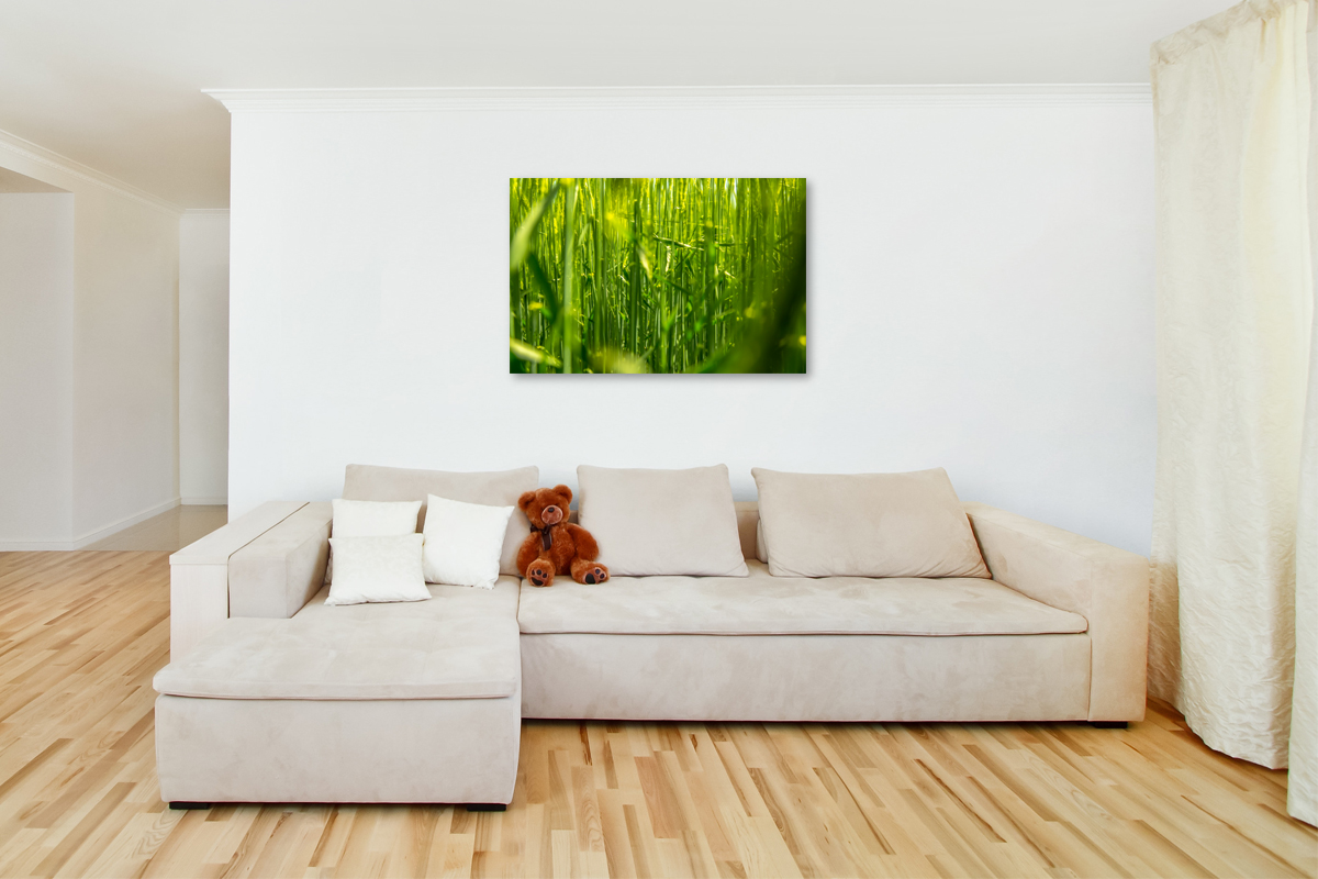 2-108-1164-wohnzimmer-natur-gras-sonnenlicht-hochwertige-sonderanfertigungen-art_l