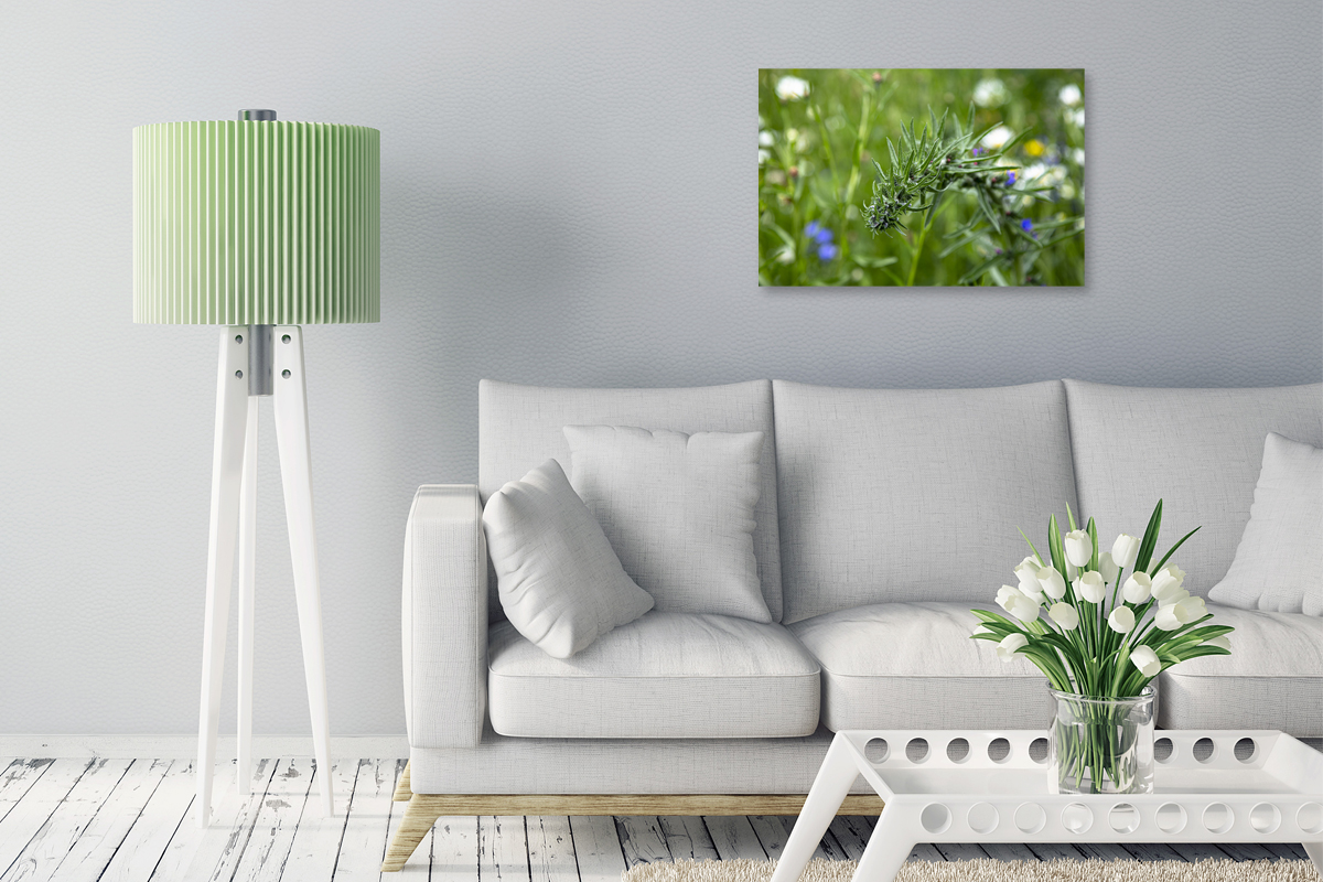 2-109-1088-kueche-blume-sommer-pflanze-gerahmte-bilder-hochwertige-fotokunst_l