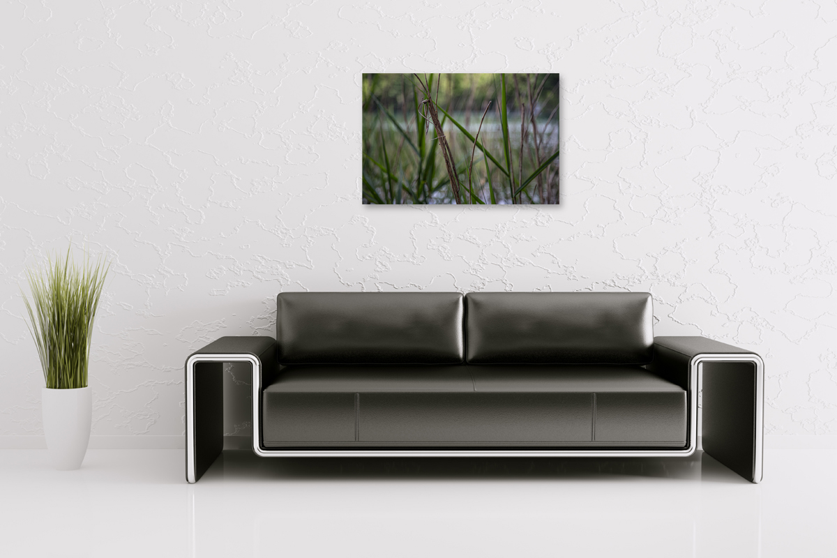 2-109-1145-gastzimmer-gras-wasser-kunstfotografien-leinwandbilder_l