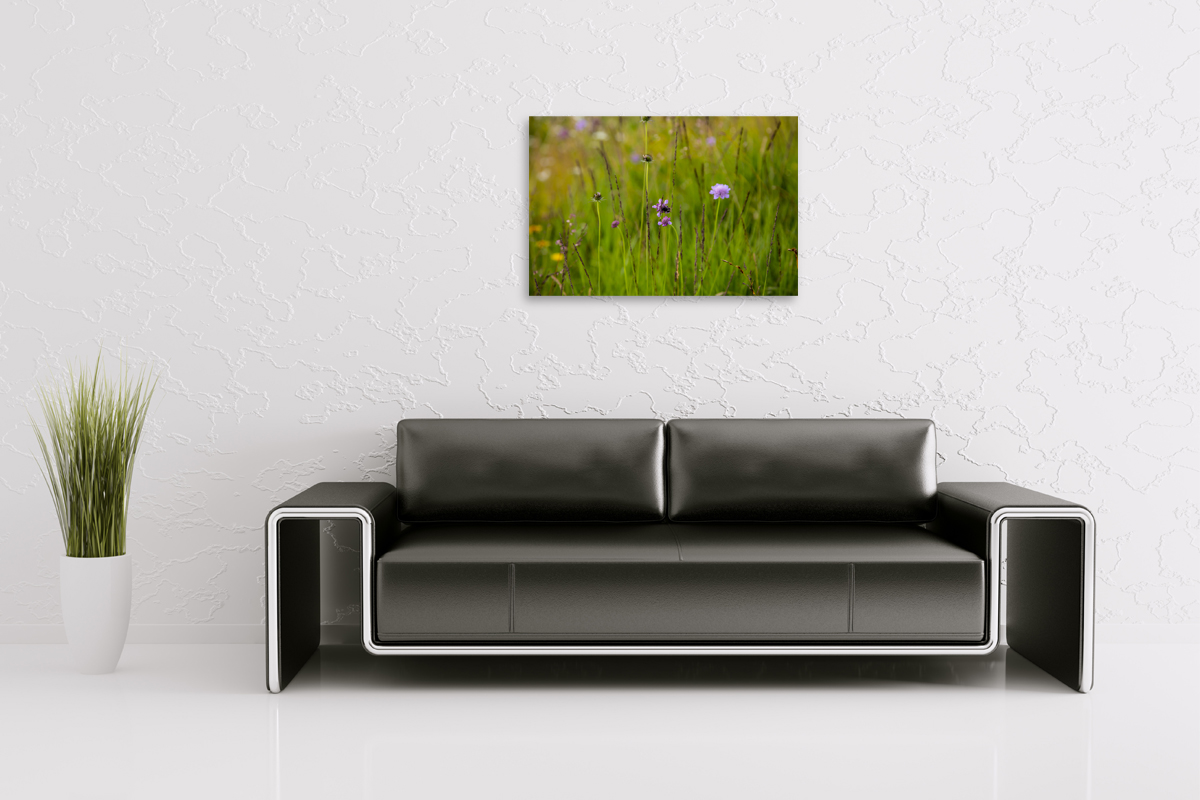 2-109-1254-wohnzimmer-blumenfeld-biene-sommer-wechselrahmen-zeitgenoessische-kunst_l