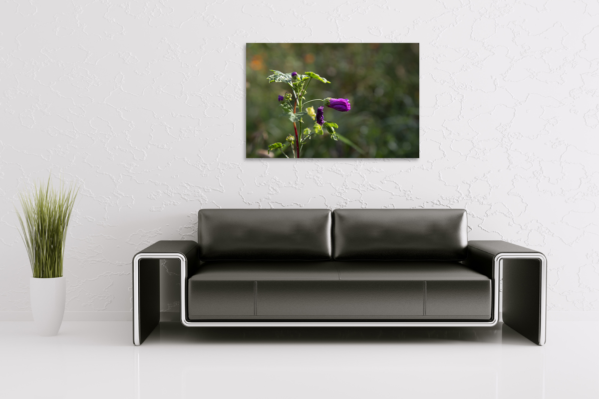 2-117-1275-wohnzimmer-morgen-tropfen-aufwachen-blume-fotografie-artland_l