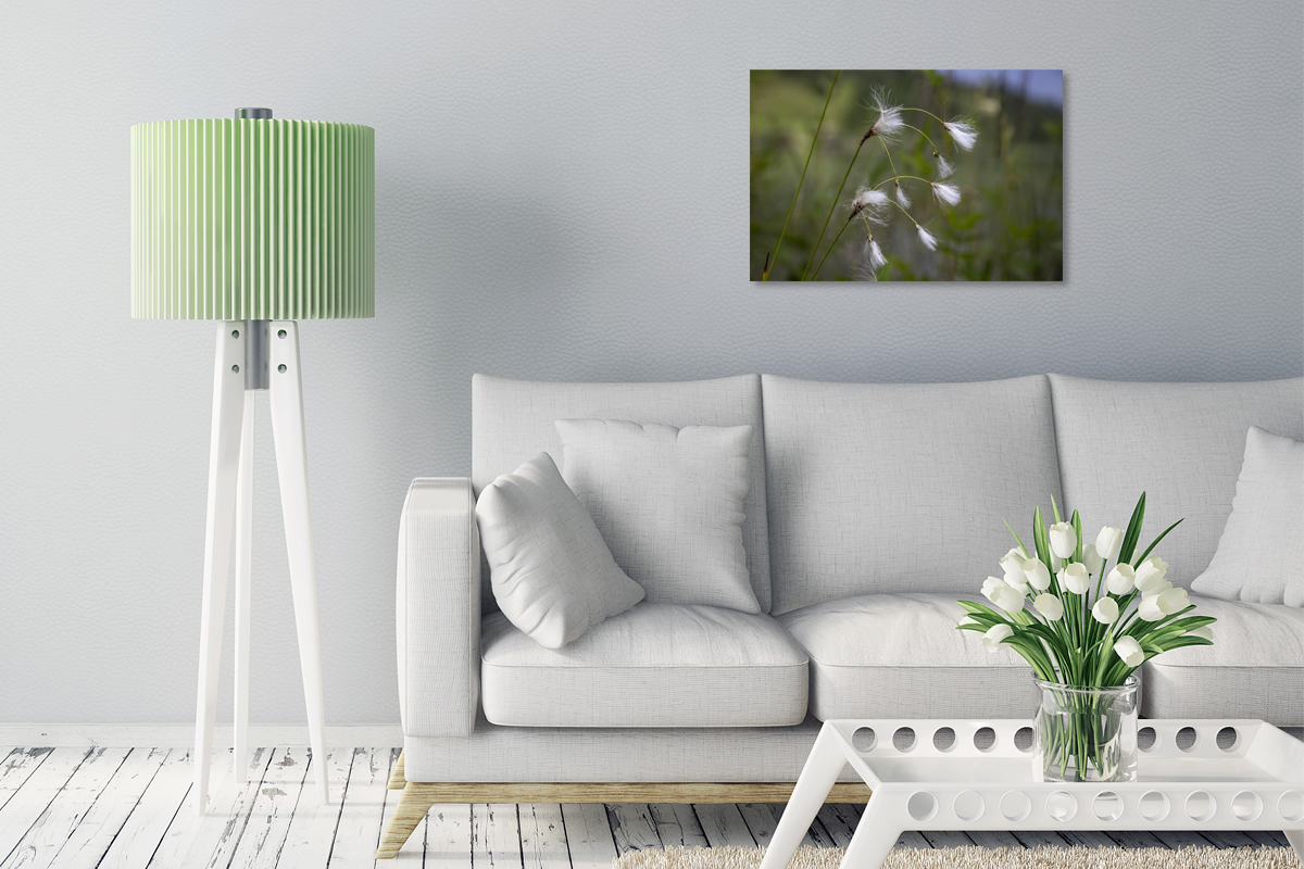 2-117-1268-wohnzimmer-rispe-weiss-weich-blume-fotokunst-artprint_l