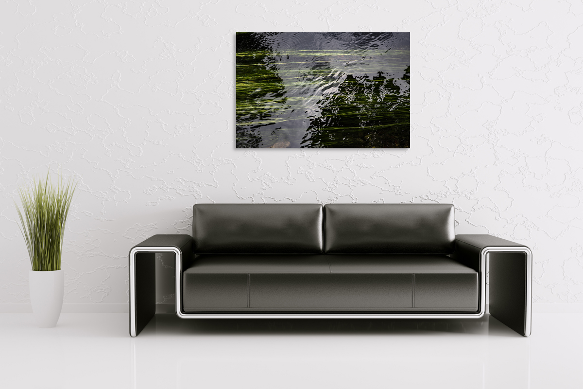 2-115-1090-wohnzimmer-wasser-spiegelung-pflanze-portraets-kunstwerken_l