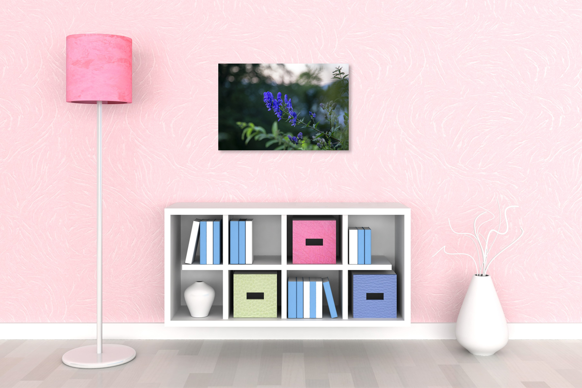 2-117-1185-schlafzimmer-blume-violett-sommer-feld-galerien-bilder-online-kaufen_l