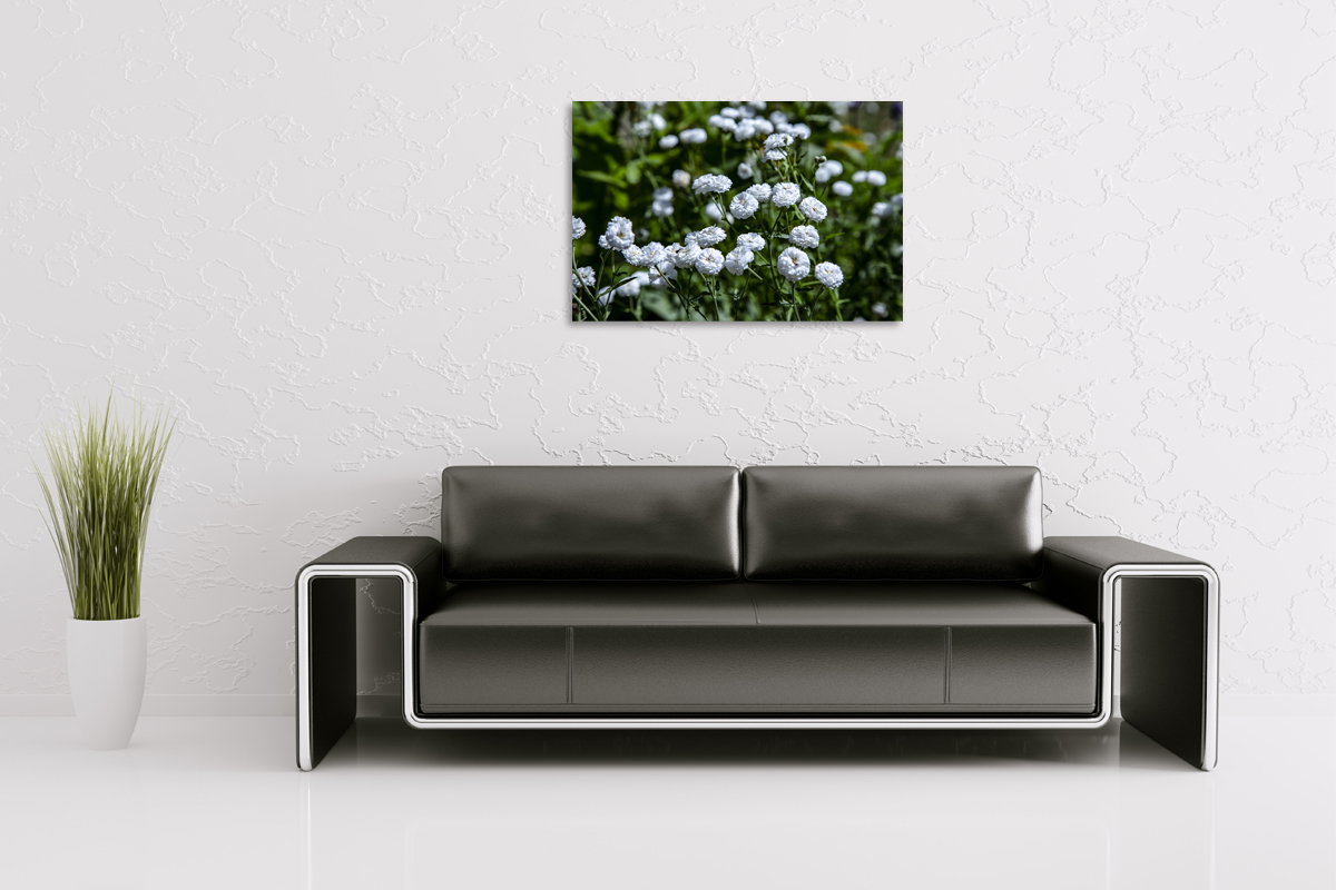 2-117-1158-wohnzimmer-weiss-braut-blume-kugel-gallery-bildershop_l