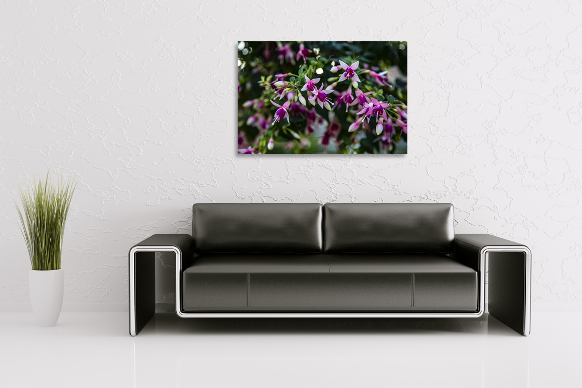 2-104-1353-wohnzimmer-lila-blume-sommer-galerie-qualitaet-galleries_l