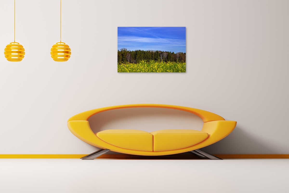 2-105-1412-gastzimmer-gelbe-blumen-himmel-wald-waehlbaren-groessen-wandbilder-xxl_l