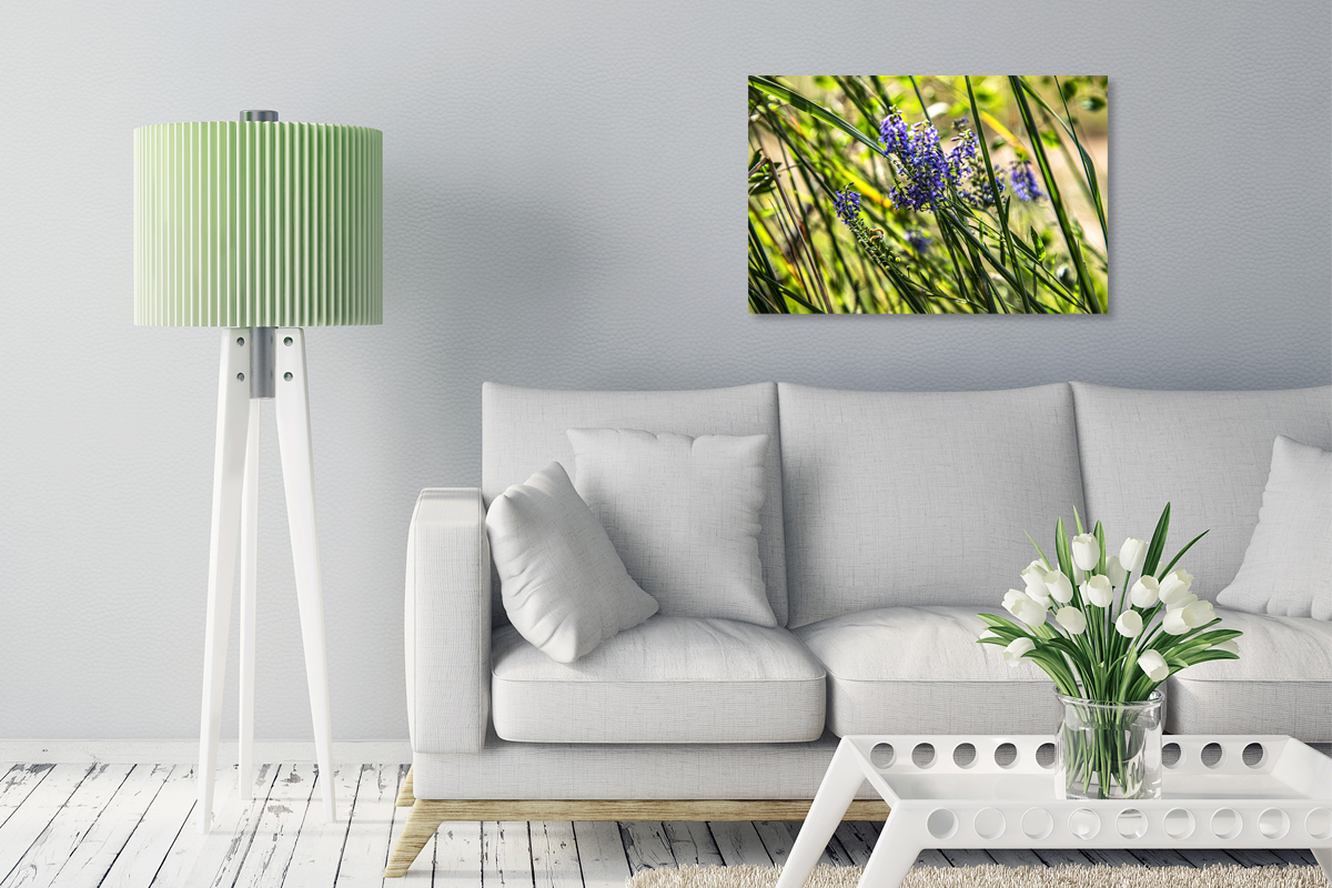 2-108-1373-kueche-sommer-sonne-blume-glasbilder-kunstwerken_l