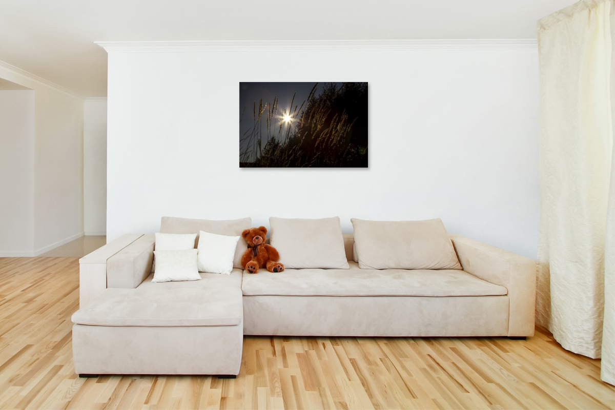 2-108-1521-wohnzimmer-sonne-abend-feld-bildershop-unikat_l