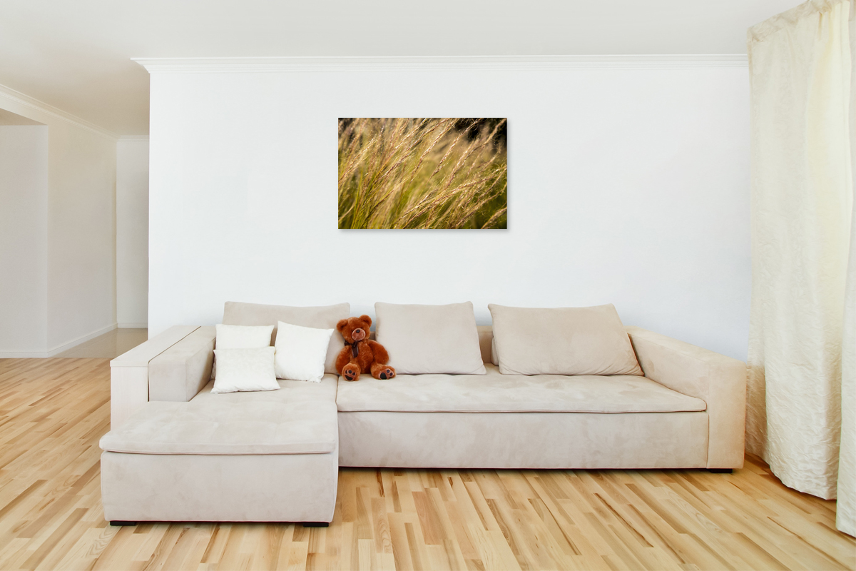 2-108-1583-wohnzimmer-aehren-feld-sommer-gallery-museum_l