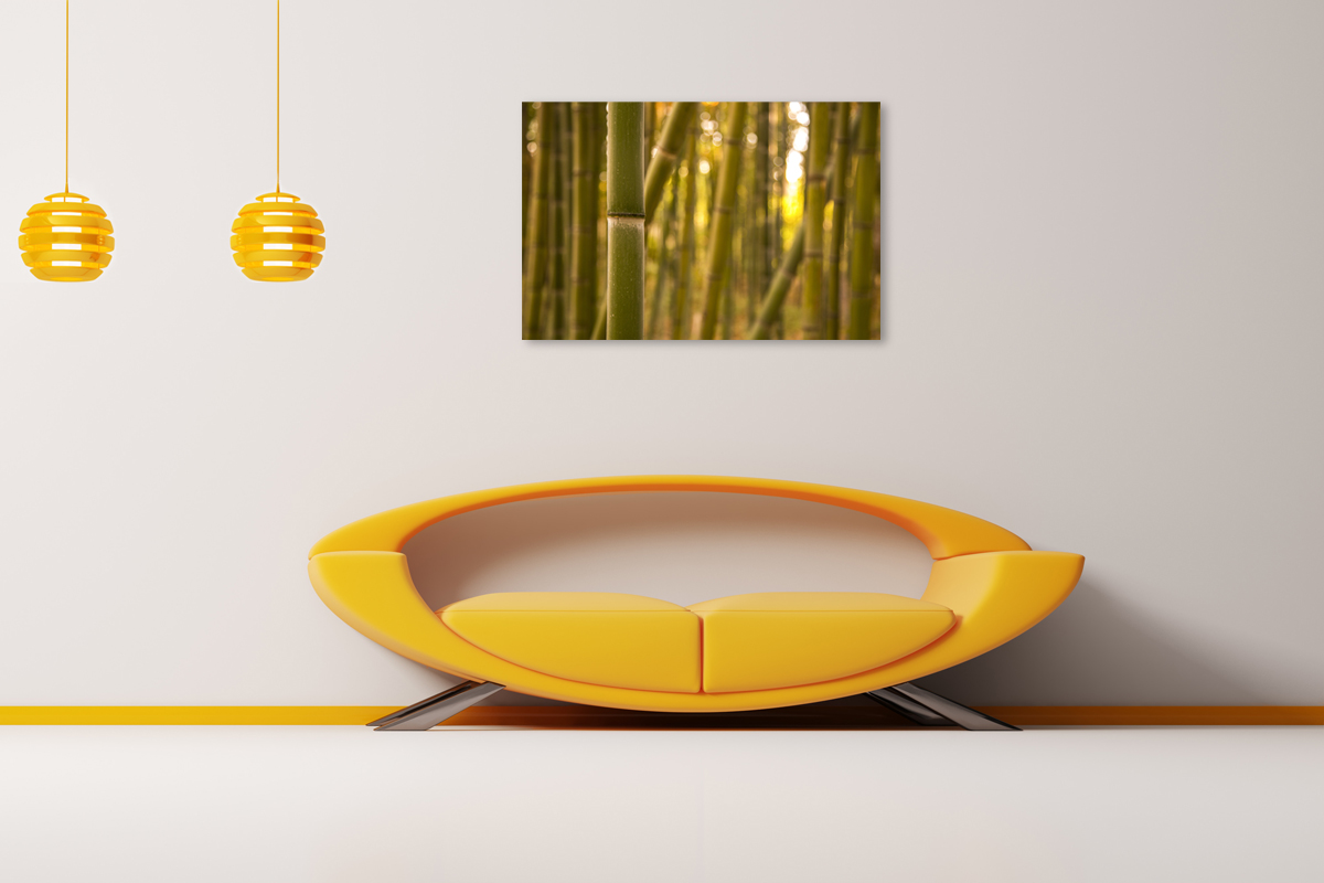 2-108-1607-wohnzimmer-bambus-dickicht-sonnenlicht-gratis-versand-leinwandbilder_l