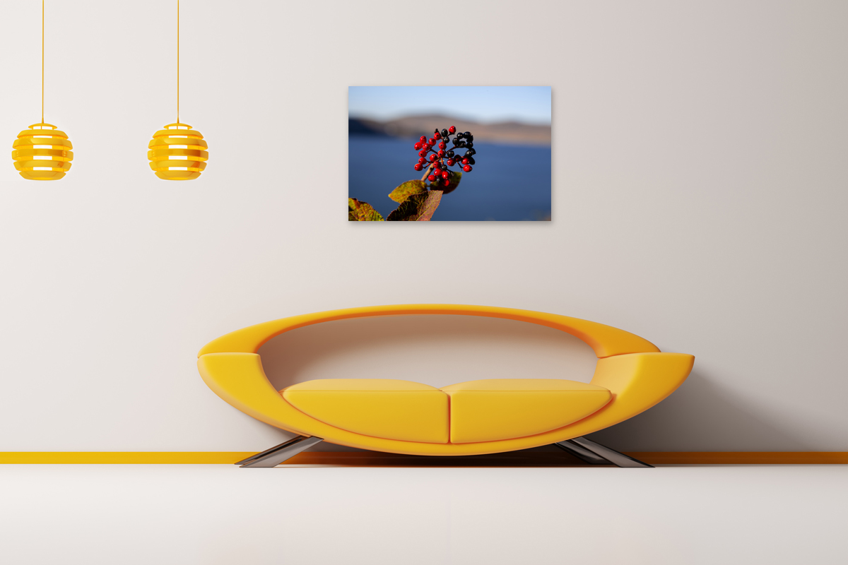 2-109-1523-wohnzimmer-beere-rot-schwarz-bild-kaufen-online-aktion_l
