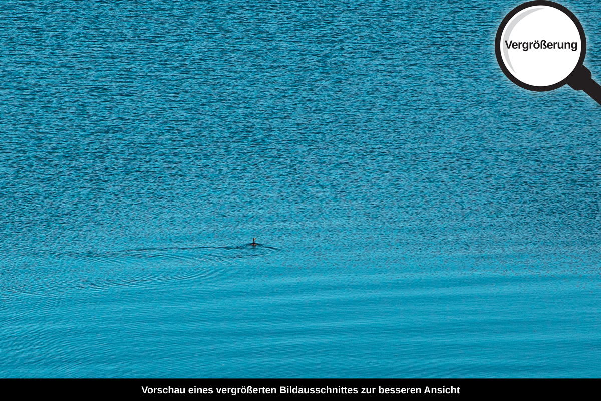 3-115-1520-bild-gross-kraeuseln-wasserflaeche-schwimmen-blau_l