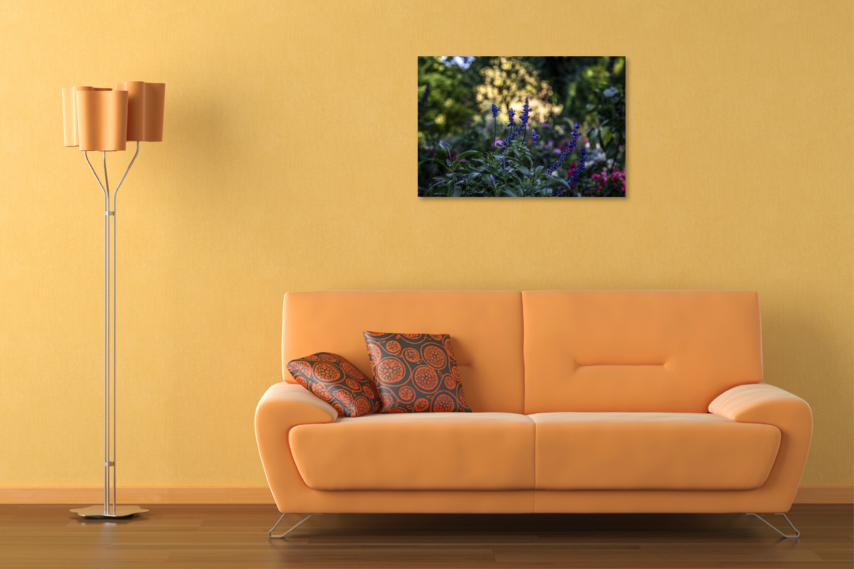 2-117-1334-wohnzimmer-blumen-feld-bunt-sommer-bild-muenchen-fotokunst-online-kaufen_l