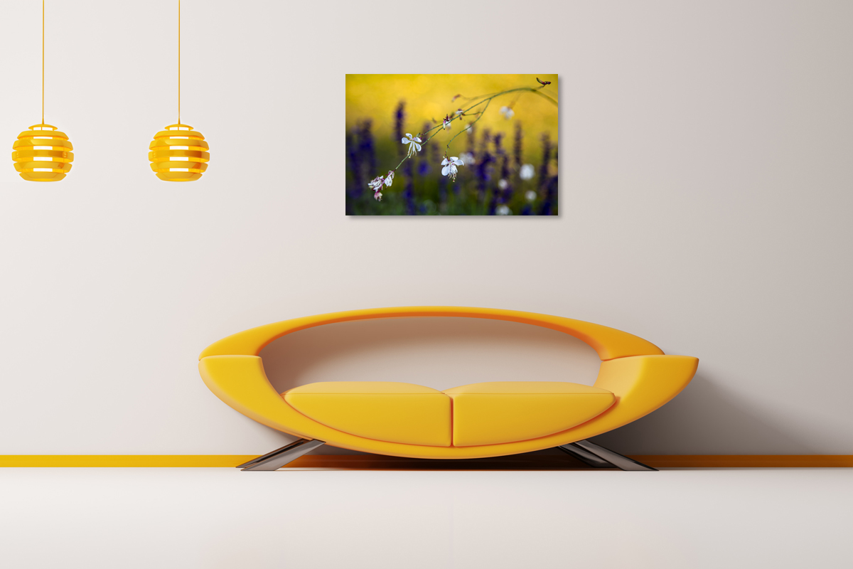 2-117-1342-wohnzimmer-weiss-klein-blume-zart-contemporary-art-galerie_l