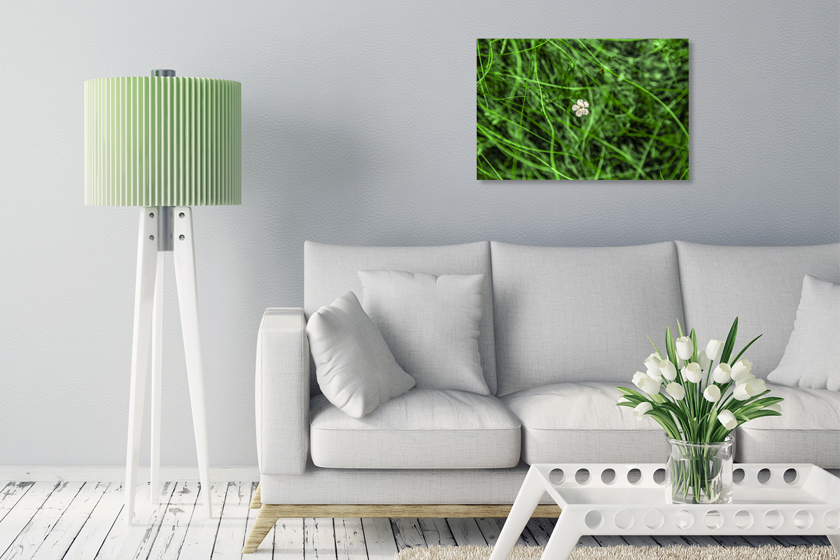 2-117-1402-wohnzimmer-gras-gruen-bluemchen-digitaldruck-galerien_l
