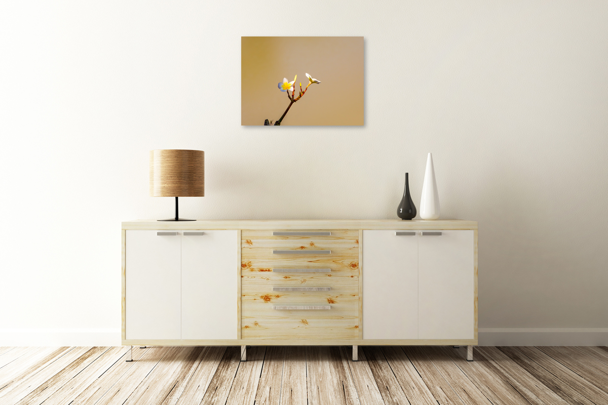 2-117-1430-schlafzimmer-blume-bluete-beige-fotokunst-gerahmt_l