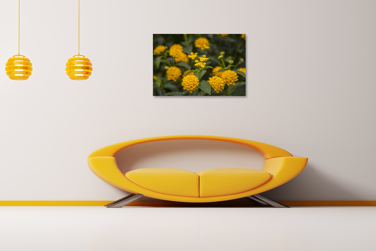 2-117-1604-wohnzimmer-golden-kugel-blume-natur-exklusive-bilder-gallery_l