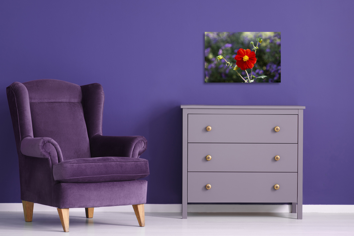 2-117-1626-schlafzimmer-blumen-feld-rot-violett-frei-waehlbaren-groessen_l