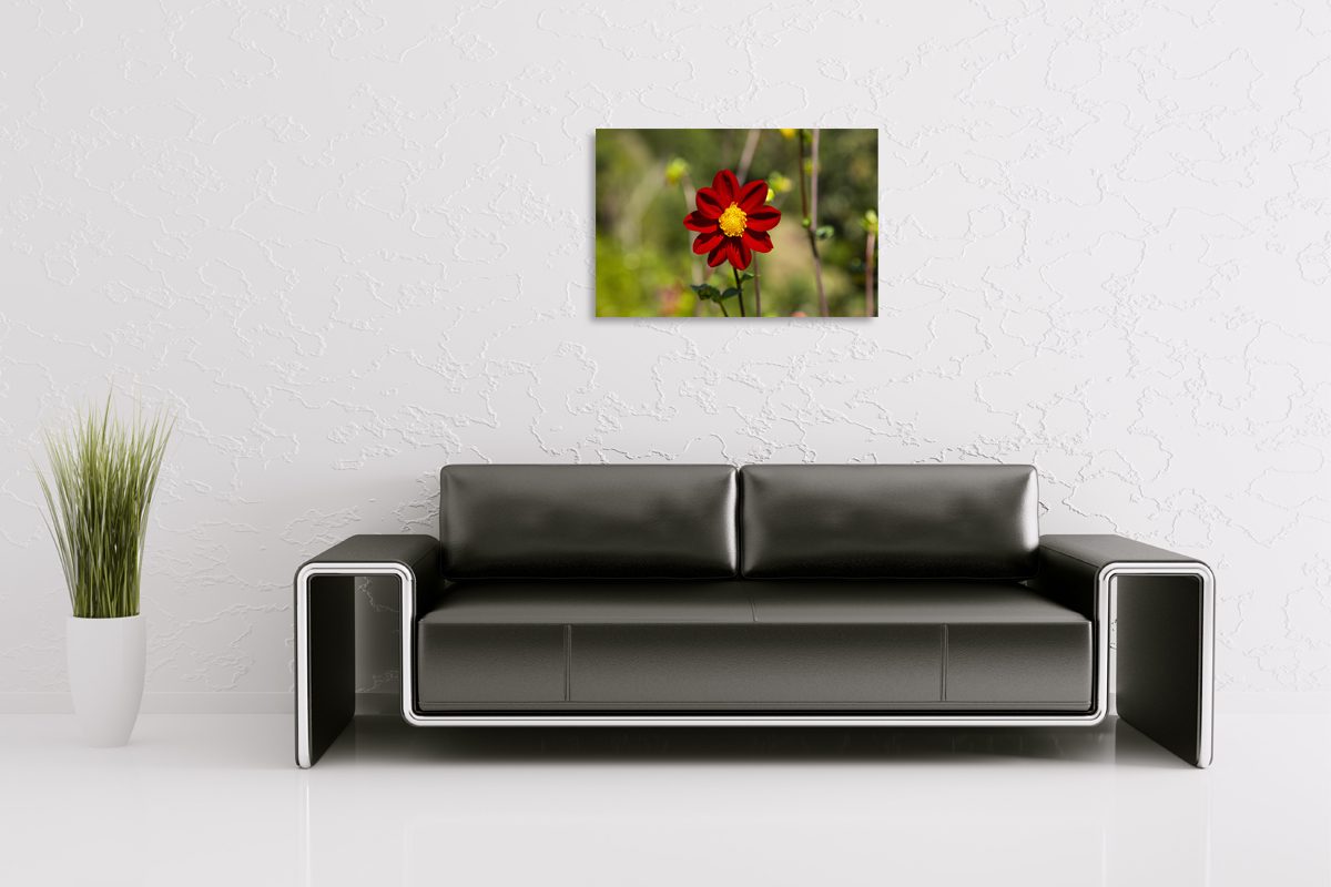 2-117-1629-wohnzimmer-rot-golden-blume-schoen-gratis-versand-kunst_l