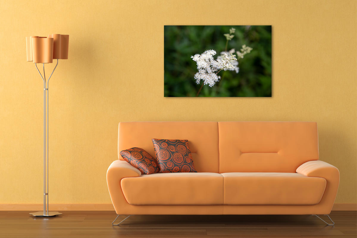 2-104-1266-wohnzimmer-weisse-blume-gruene-fotokunst-frei-waehlbaren-groessen_l