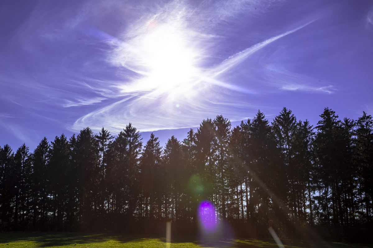 1-108-1406-natur-baum-sonnenschein-malerei-zeitgenoessische-fotografie_l