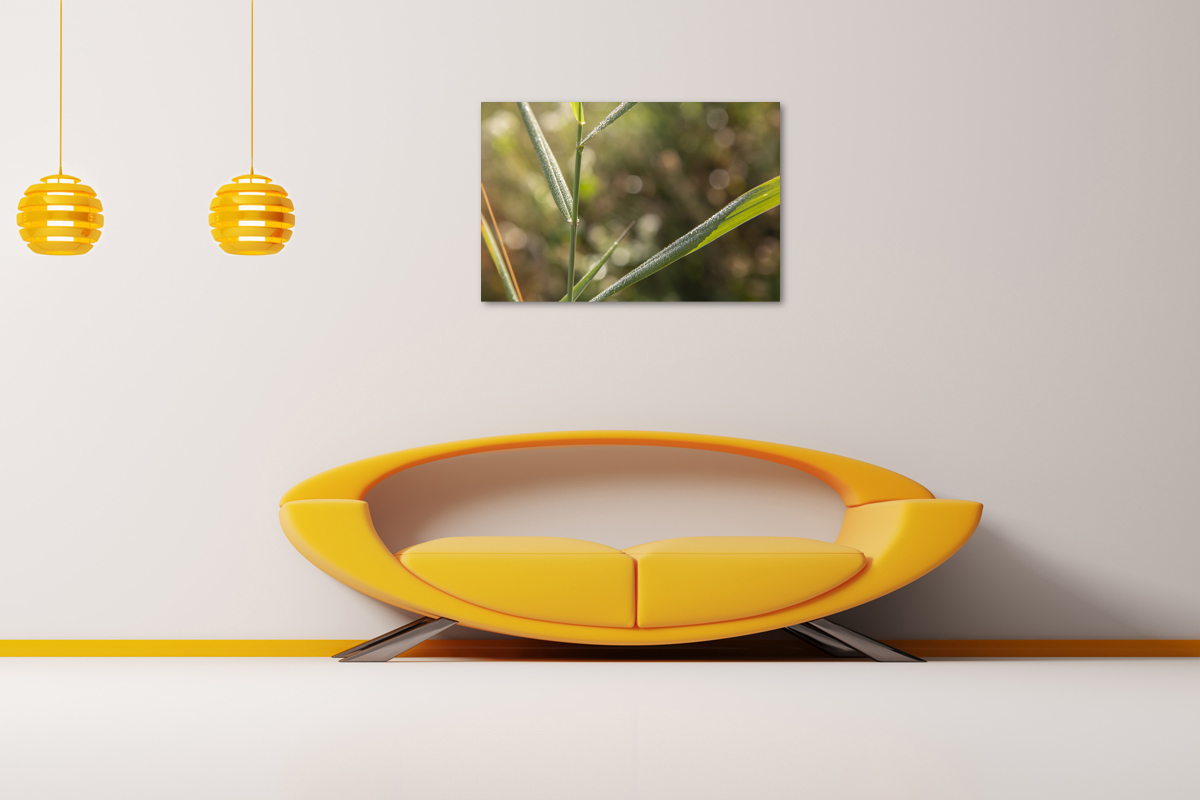 2-109-1272-wohnzimmer-gras-tropfen-gruen-wandbilder-xxl-zufriedene-kunden_l.jpg