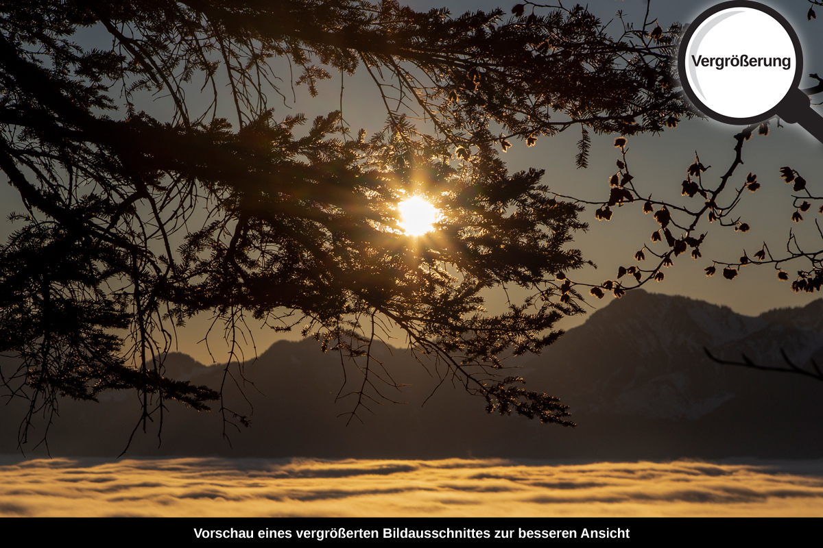 3-112-1470-bild-gross-wolkendecke-zweige-gipfel-sonnenuntergang_l