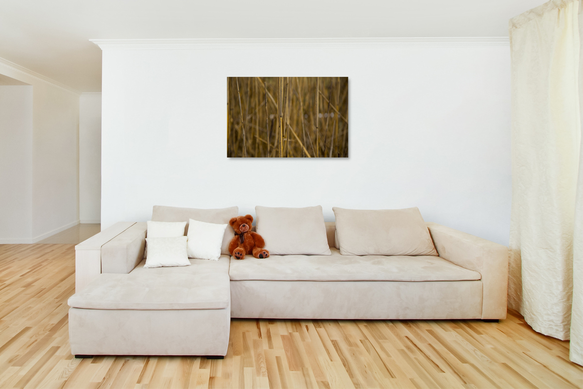 2-108-1438-wohnzimmer-trocken-gebuesch-natur-acrylglasbilder-zufriedene-kunden_l